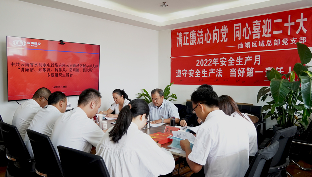 圖片312：“講廉潔、知敬畏、轉作風、防風險、促發(fā)展”專題組織生活會.jpg_副本.jpg